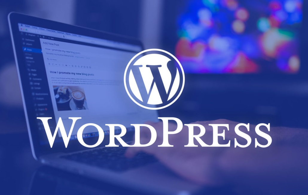 WordPress Başlangıç Eğitimi